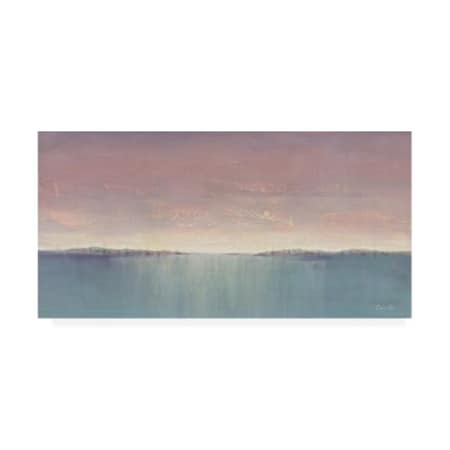 Samin Chase 'Dead Calm I' Canvas Art,12x24
